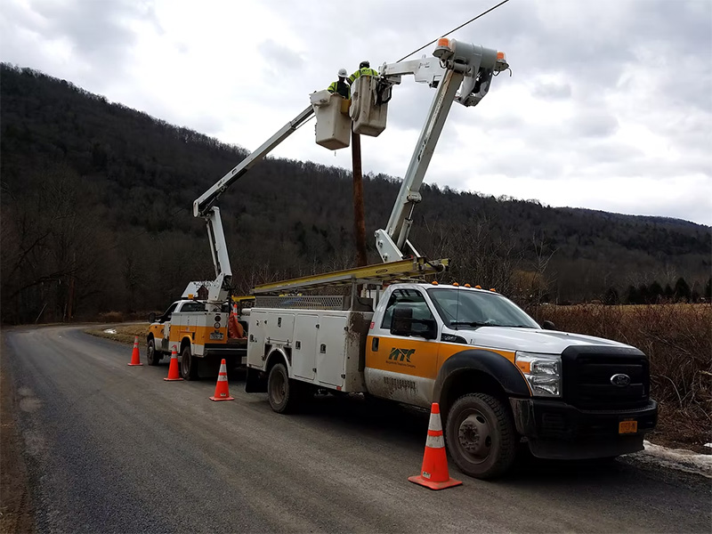 Utility workers in bucket trucks performing maintenance along a rural roadside.