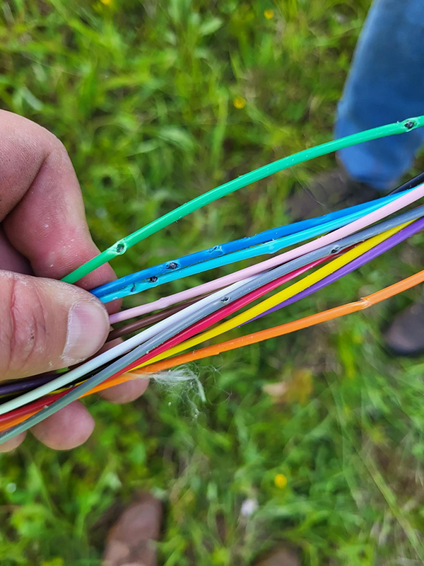 A person holding damaged wires.