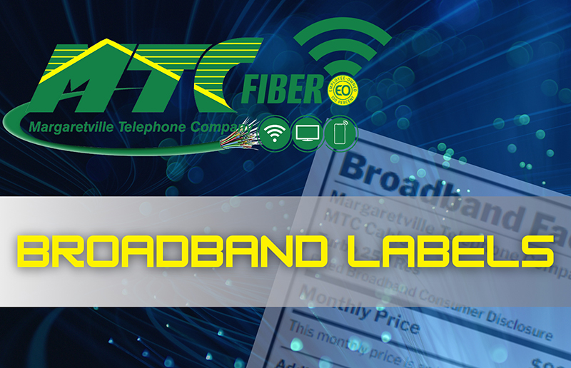 Your paragraph text - 1